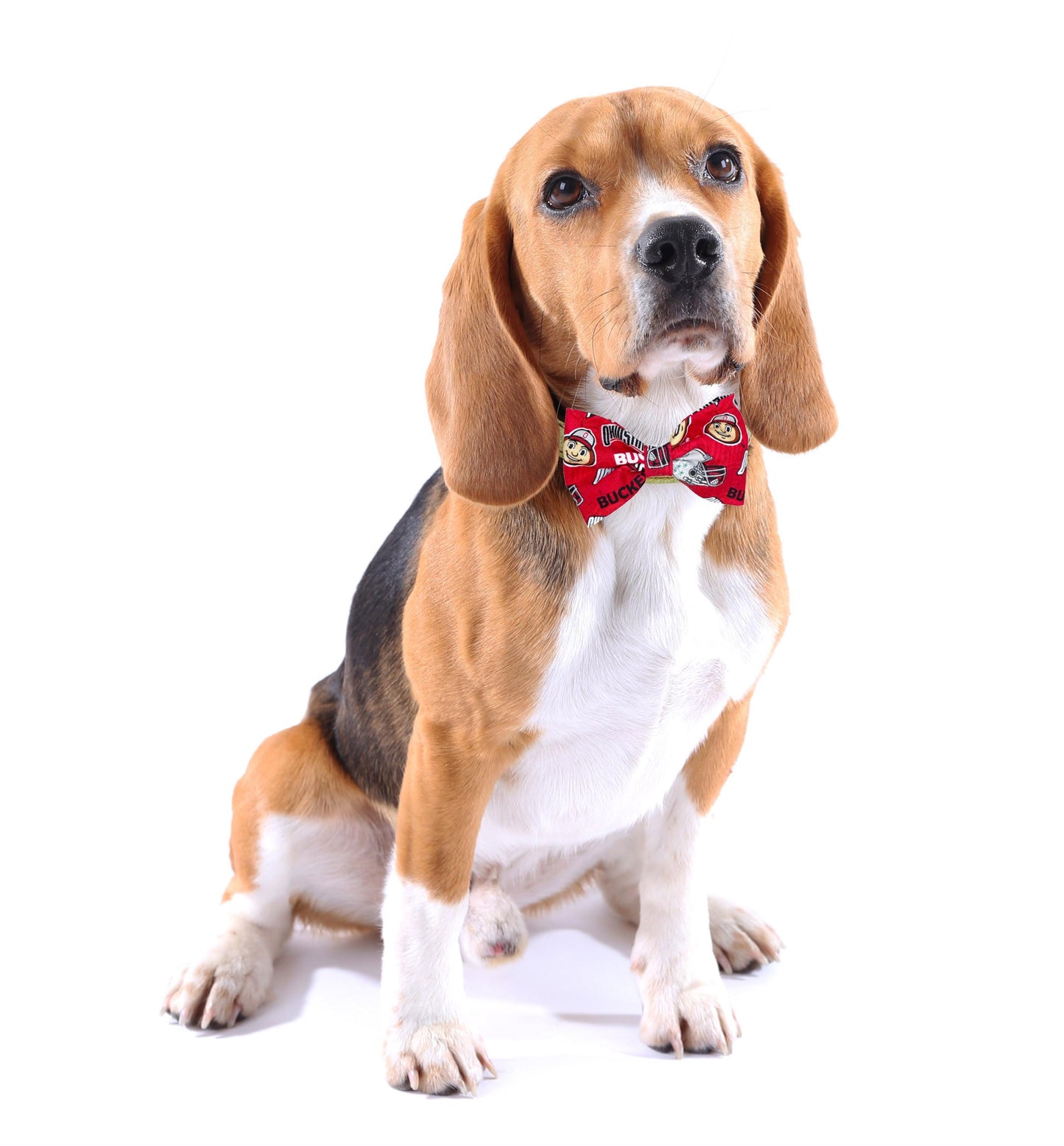 Dog Bow Tie, Cat Bow Tie, Dog Cat Accessories, Dog Collar Bow Tie, Dog Lover, Sports Team Dog Bow Tie, Dog Clothes, Cat Clothes, Fancy Dogs