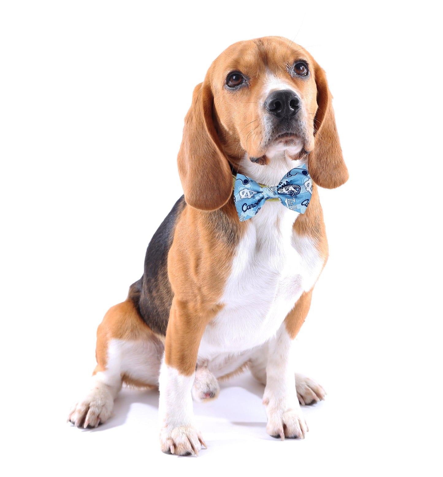 Dog Bow Tie, Cat Bow Tie, Dog  Cat Accessories, Dog Collar Bow Tie, Dog Lover, Sports Team Dog Bow Tie, Dog Clothes, Cat Clothes, Fancy Dogs