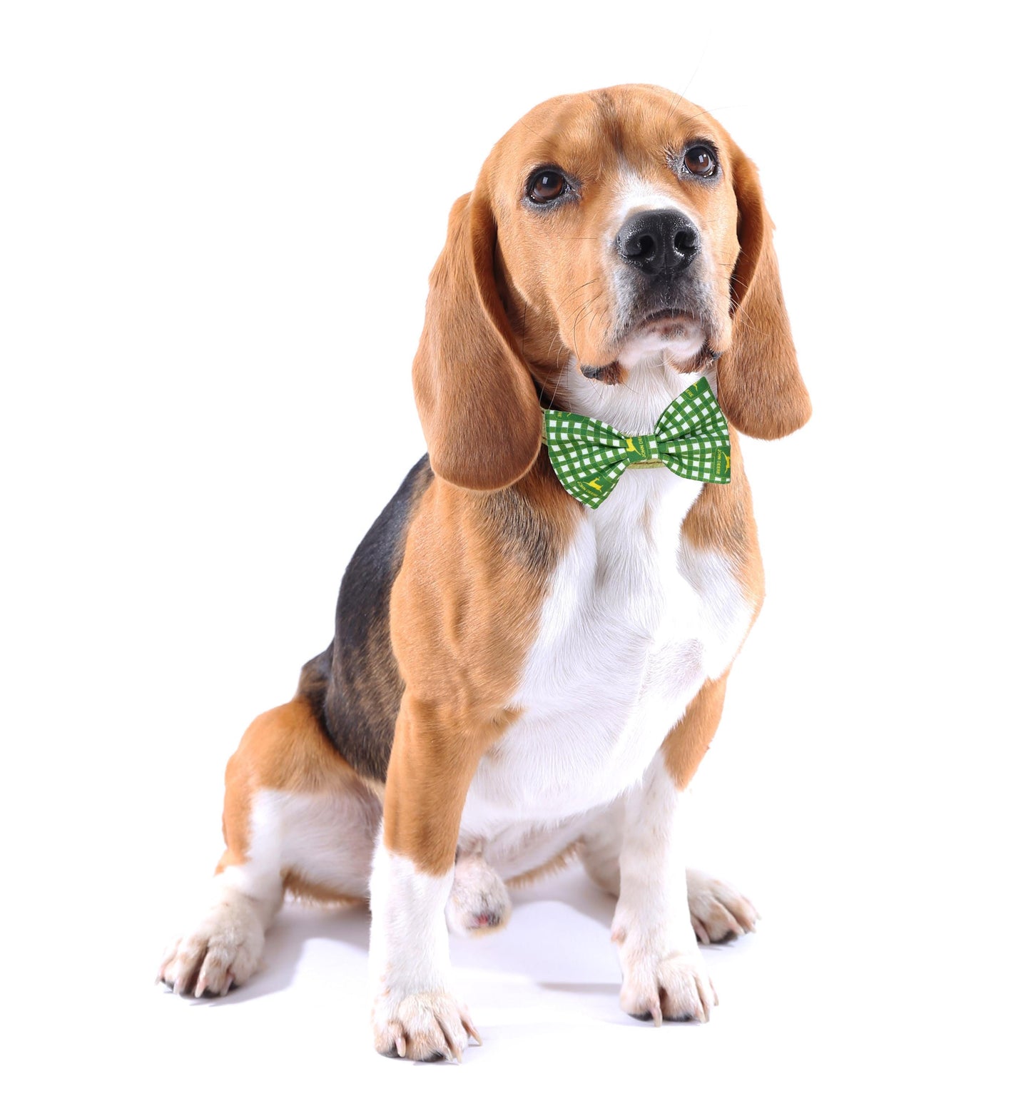 Dog Bow Tie, Cat Bow Tie, Dog  Cat Accessories, Dog Collar Bow Tie, Dog Lover, Sports Team Dog Bow Tie, Dog Clothes, Cat Clothes, Fancy Dogs